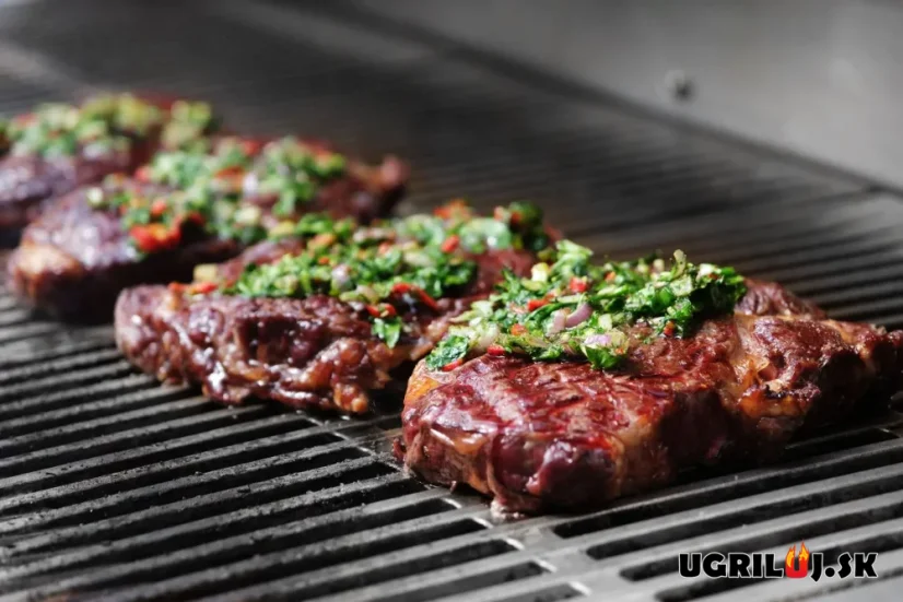 Plynový IR gril Flammkraft - BLOCK Ds (GEN.5), Light grey