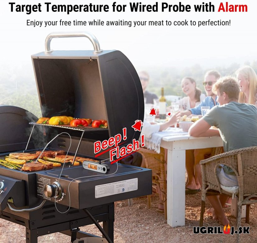 Vpichový teplomer ThermoPro - TP-610