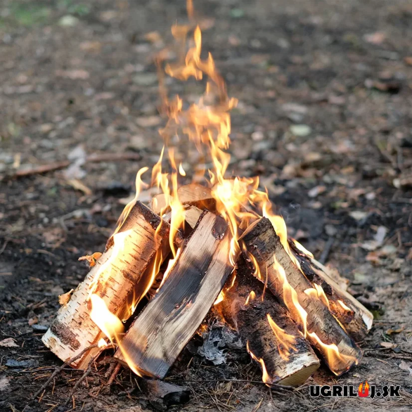 Etanol do udiarni Browin, gelové palivo, 1L