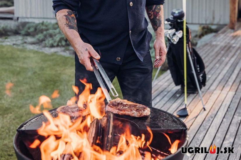 Pinzeta na grilovanie Höfats, Pincer Tongs, silver