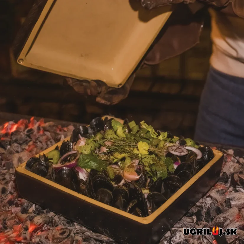 Bricknic Cooking Brick Large, zapékací miska na pečení, Černá