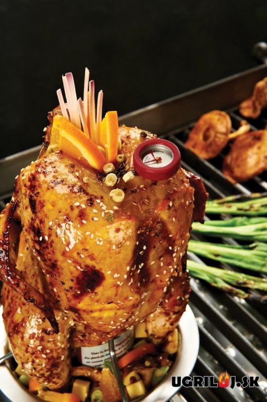 Stojan na kuře s teploměrem Broil King - Chicken roaster