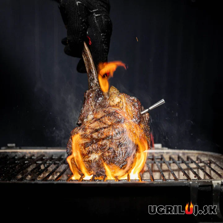 Bezdrôtový teplomer na mäso - MEATER Pro