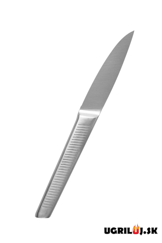 Sada kuchynských nožov so stojanom, nerez, 10ks