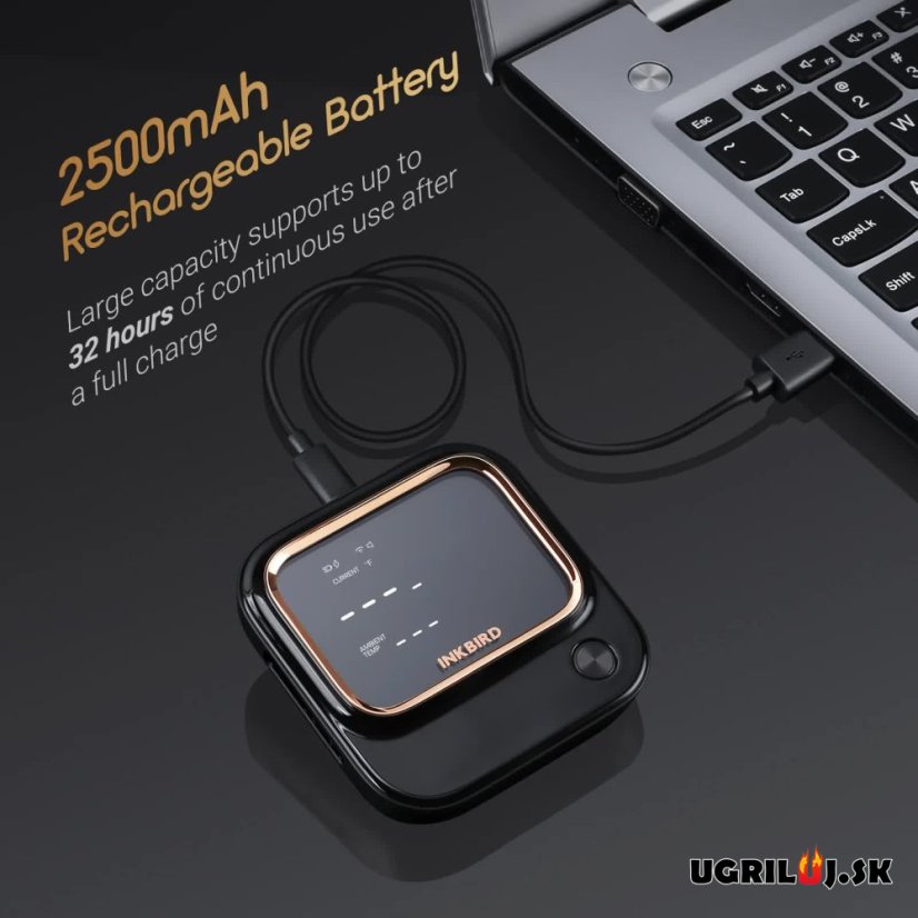 Vpichový teplomer Inkbird, IBT-26S-4PR