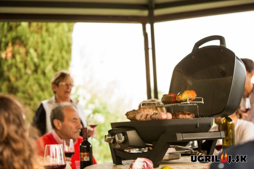 Přenosný plynový gril Napoleon - Travel PRO 285 (na plynovou láhev)