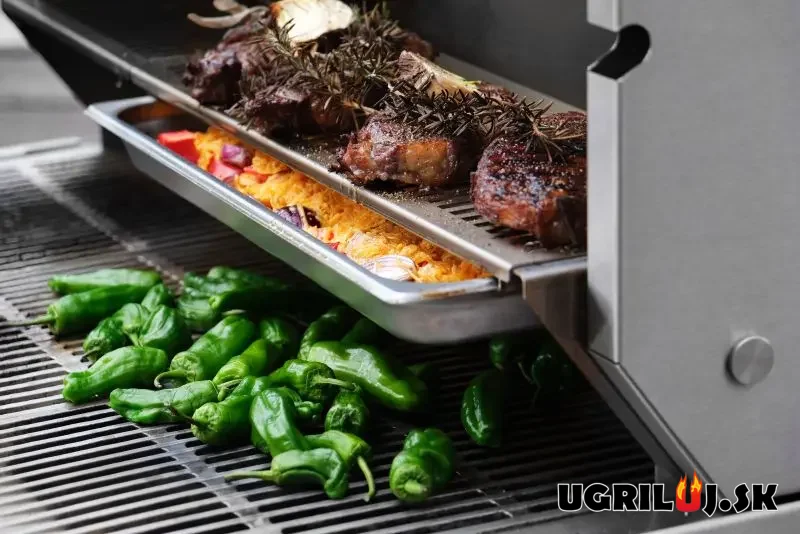 Plynový IR gril Flammkraft - BLOCK D (GEN.5), Taupe