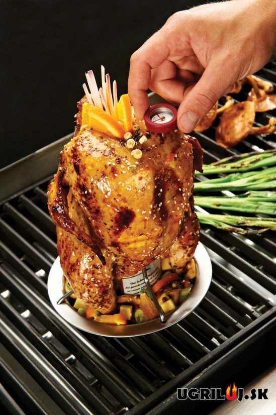 Stojan na kura s teplomerom Broil King - Chicken roaster