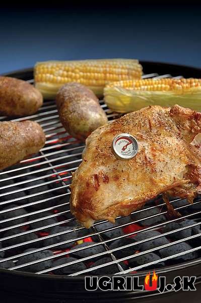 Vpichový teplomer Charcoal Companion - na hydinu