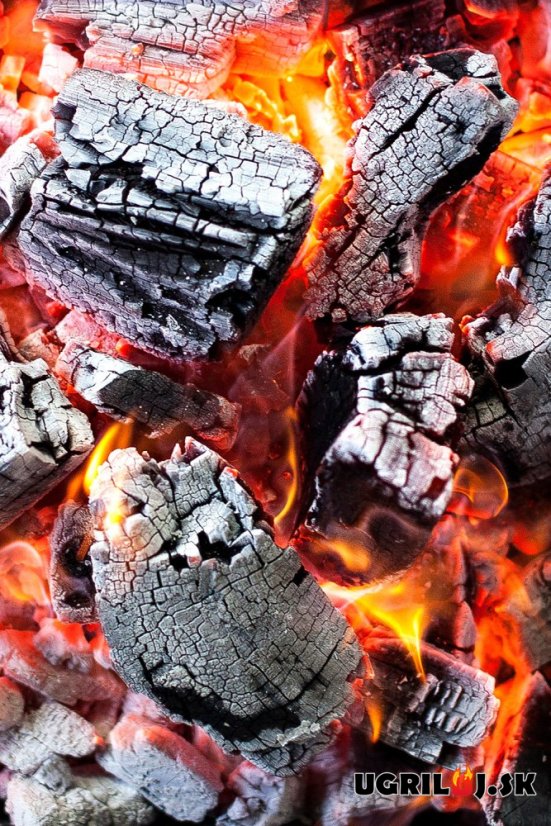 Prémiové drevené uhlie Josper - Quebracho blanco, 9.5kg