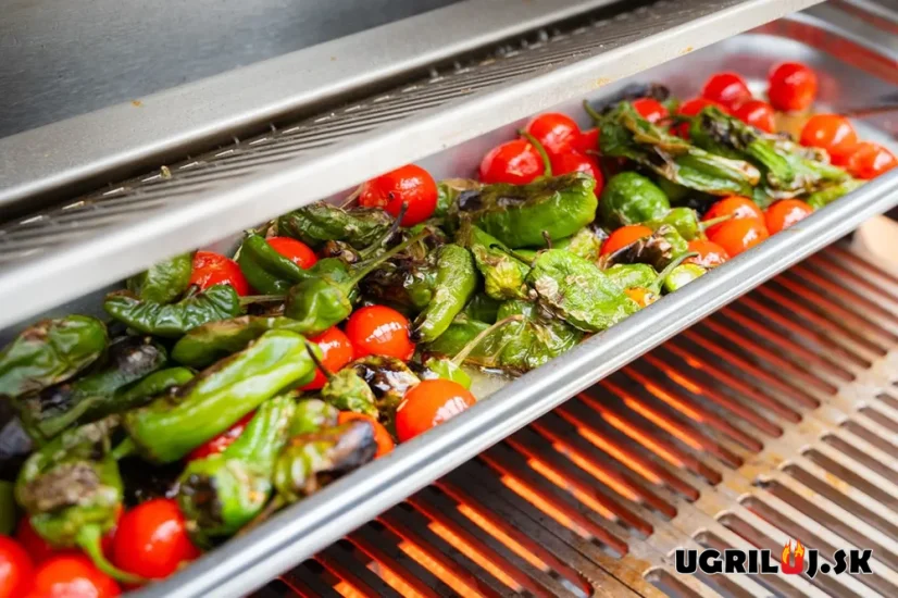 Plynový IR gril Flammkraft - BLOCK Ds (GEN.5), Ivory black