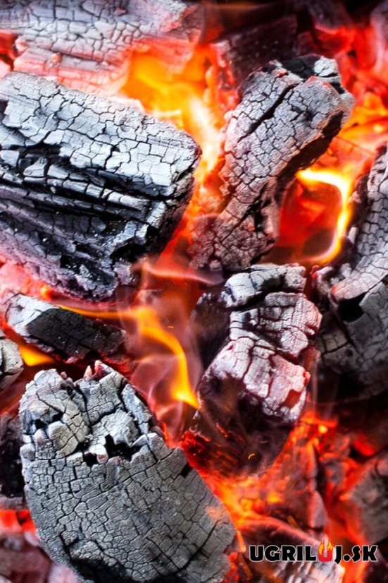 Prémiové drevené uhlie Josper - Quebracho blanco, 9.5kg