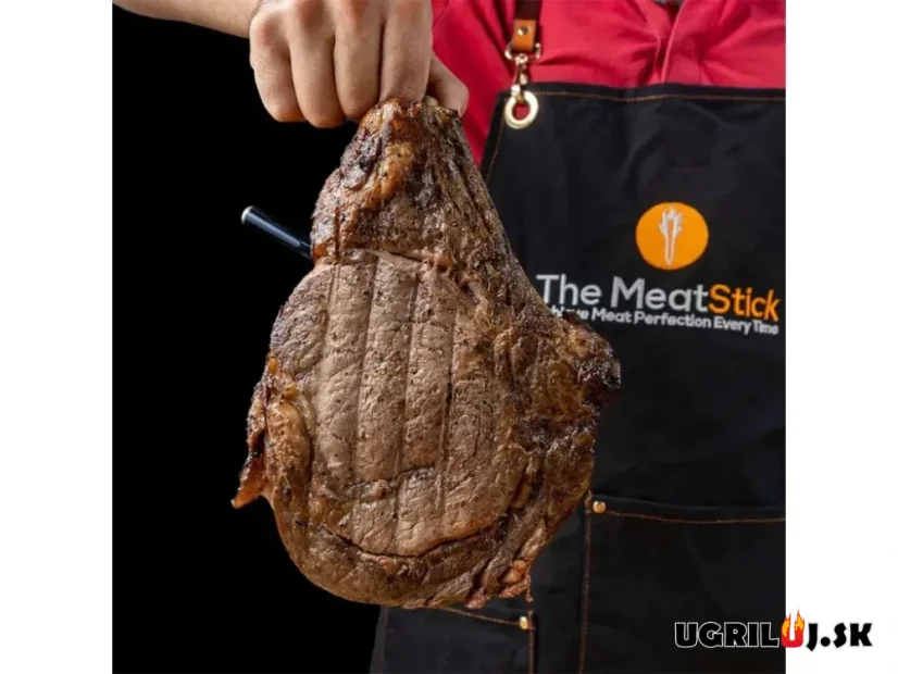 Bezdrôtový teplomer na mäso MeatStick - PM871