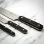 Sada kuchyňských nožů Lion Sabatier, PHENIX INOX CUISINE, 3ks