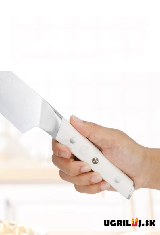 Sada kuchynských nožov so stojanom, white, nerez, 10ks