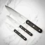 Sada kuchyňských nožů Lion Sabatier, PHENIX INOX CUISINE, 3ks