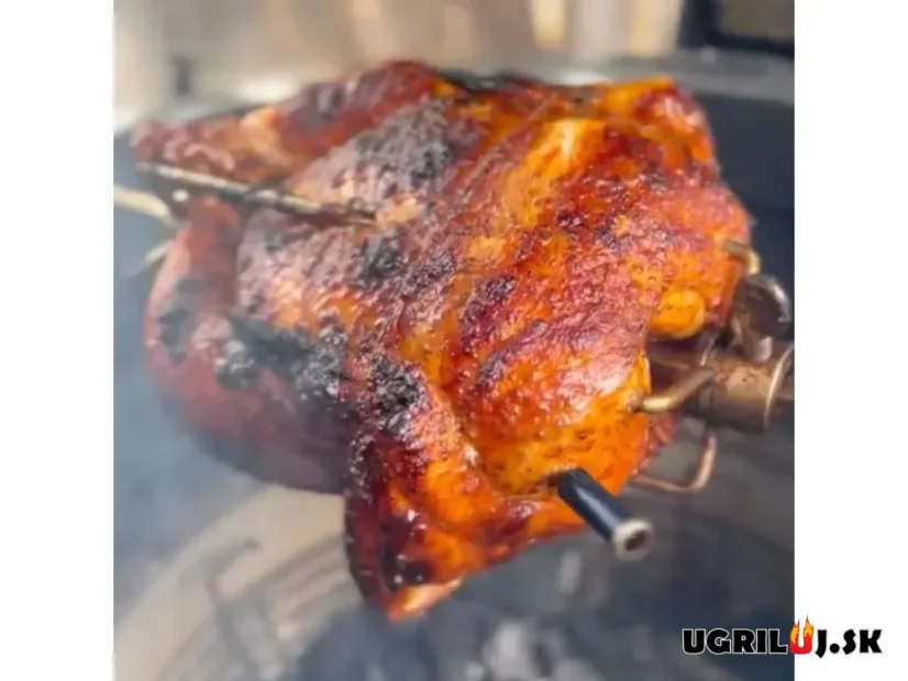 Bezdrôtový teplomer na mäso MeatStick - PM871