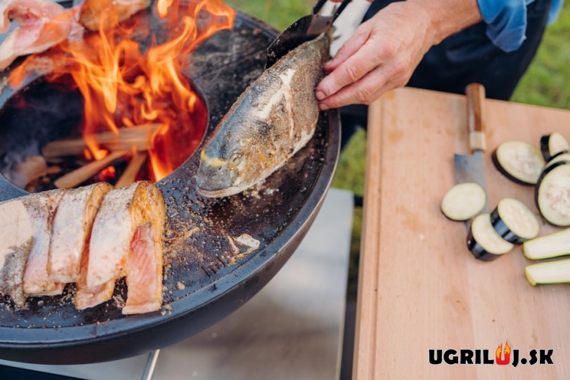 Vonkajšia kuchyňa Höfats "FIRE KITCHEN", s ohniskom Bowl 57 + platňa + hviezdicový stojan